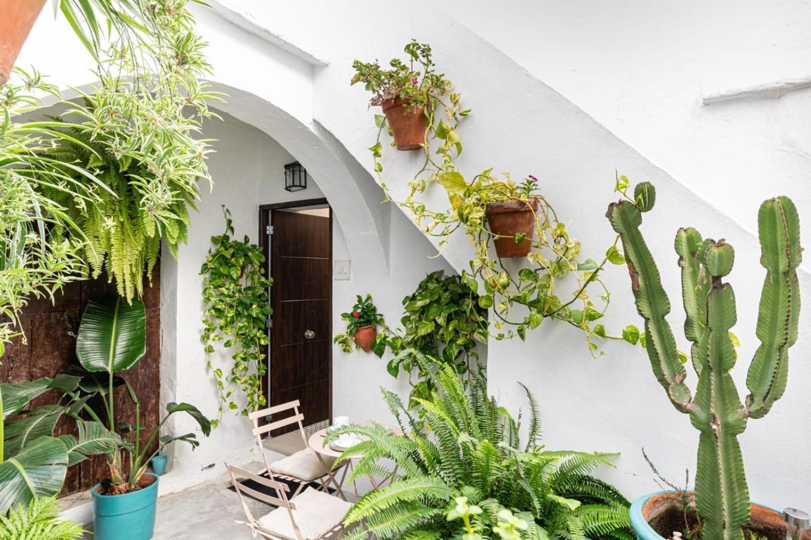 Casa La Fontana 3 Lägenhet Vejer de la Frontera Exteriör bild